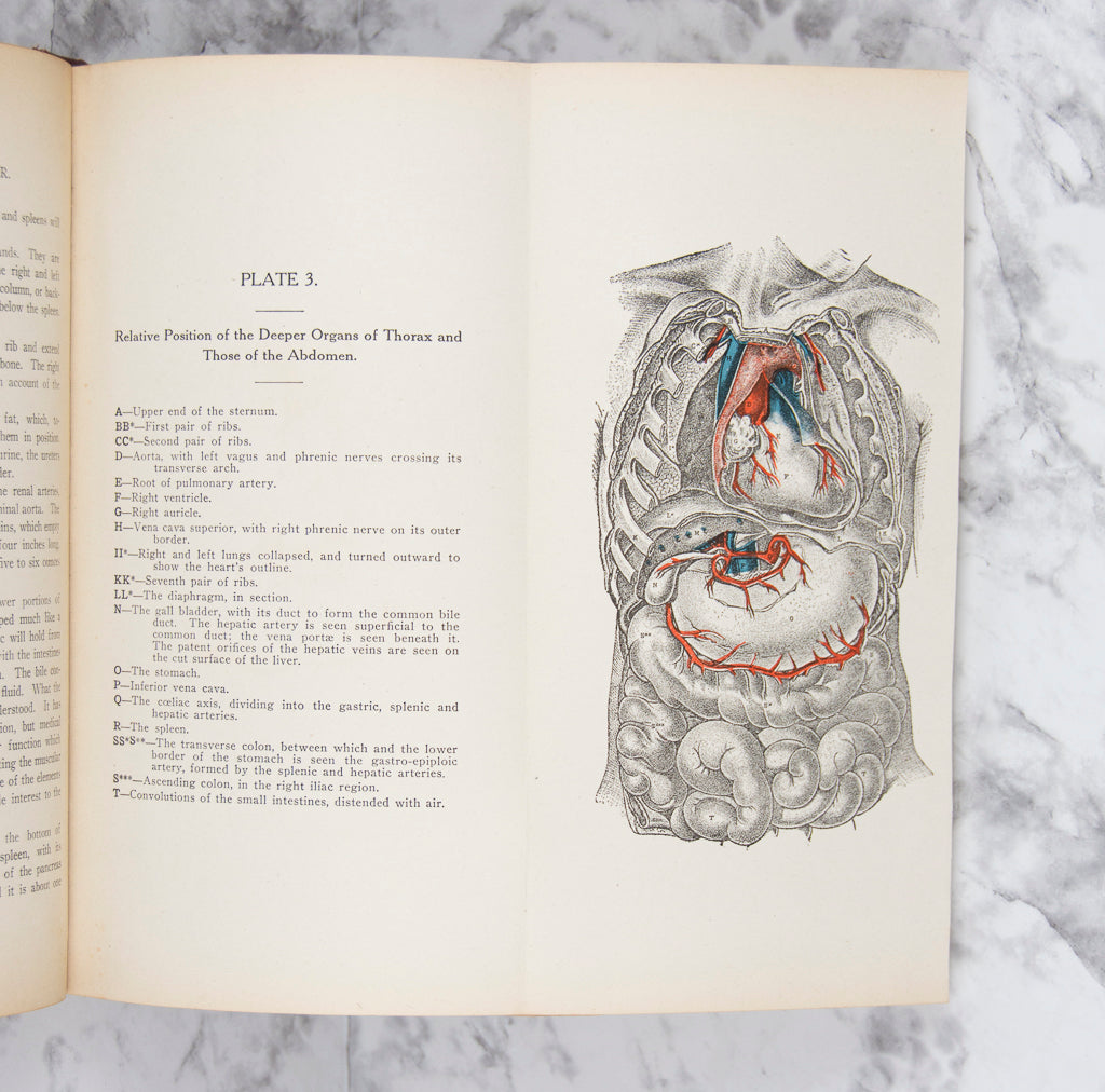 (MORTUARY SCIENCE). DODGE, A. Johnson. The Third Edition of the Practical Embalmer.