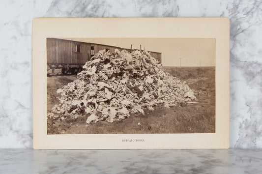 (PHOTOGRAPHY). (WESTERN AMERICANA). [FRANCIS, Charles Spenser]. Buffalo Bones.