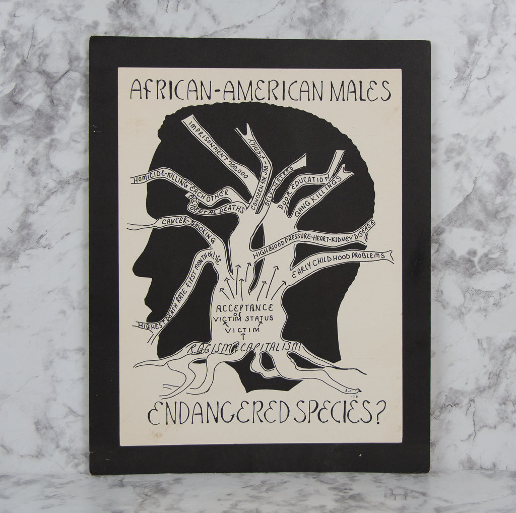(BROADSIDE). (SOCIAL JUSTICE). African-American Males: Endangered Species?