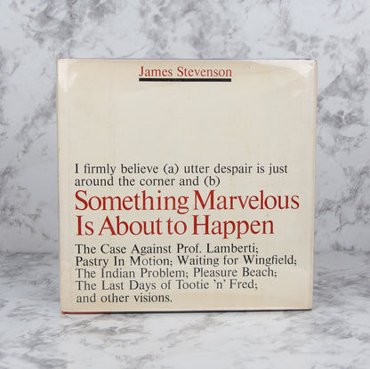 STEVENSON, James. Something Marvelous Is About to Happen.