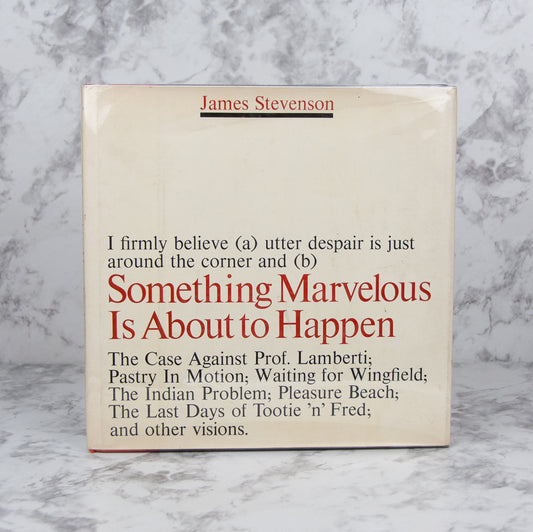 STEVENSON, James. Something Marvelous Is About to Happen.