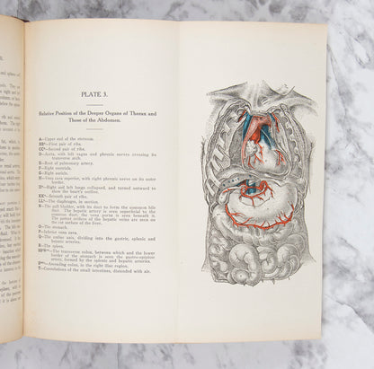 (MORTUARY SCIENCE). DODGE, A. Johnson. The Third Edition of the Practical Embalmer.