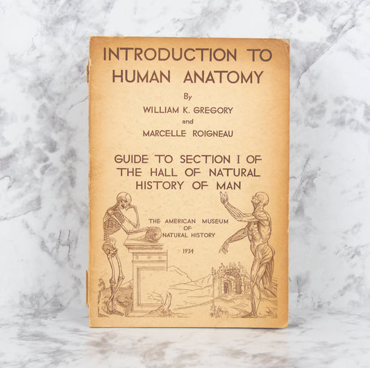 (HUMAN ANATOMY). (NATURAL HISTORY MUSEUM). GREGORY, William K. and Marcelle ROIGNEAU. Introduction to Human Anatomy.