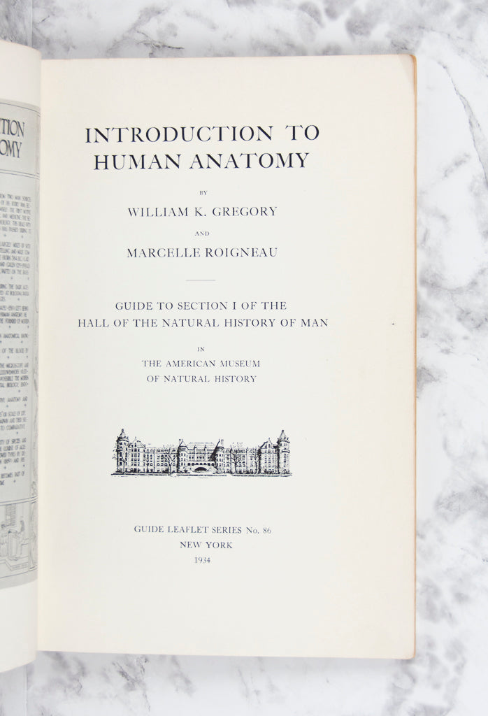 (HUMAN ANATOMY). (NATURAL HISTORY MUSEUM). GREGORY, William K. and Marcelle ROIGNEAU. Introduction to Human Anatomy.