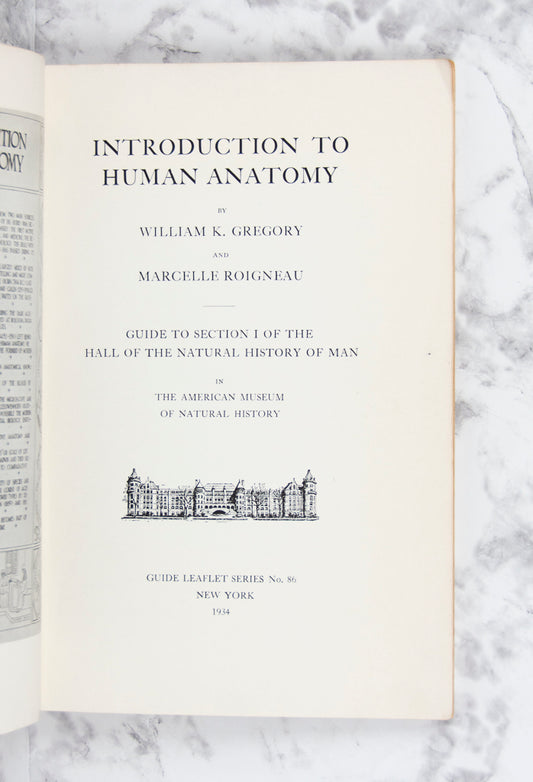 (HUMAN ANATOMY). (NATURAL HISTORY MUSEUM). GREGORY, William K. and Marcelle ROIGNEAU. Introduction to Human Anatomy.
