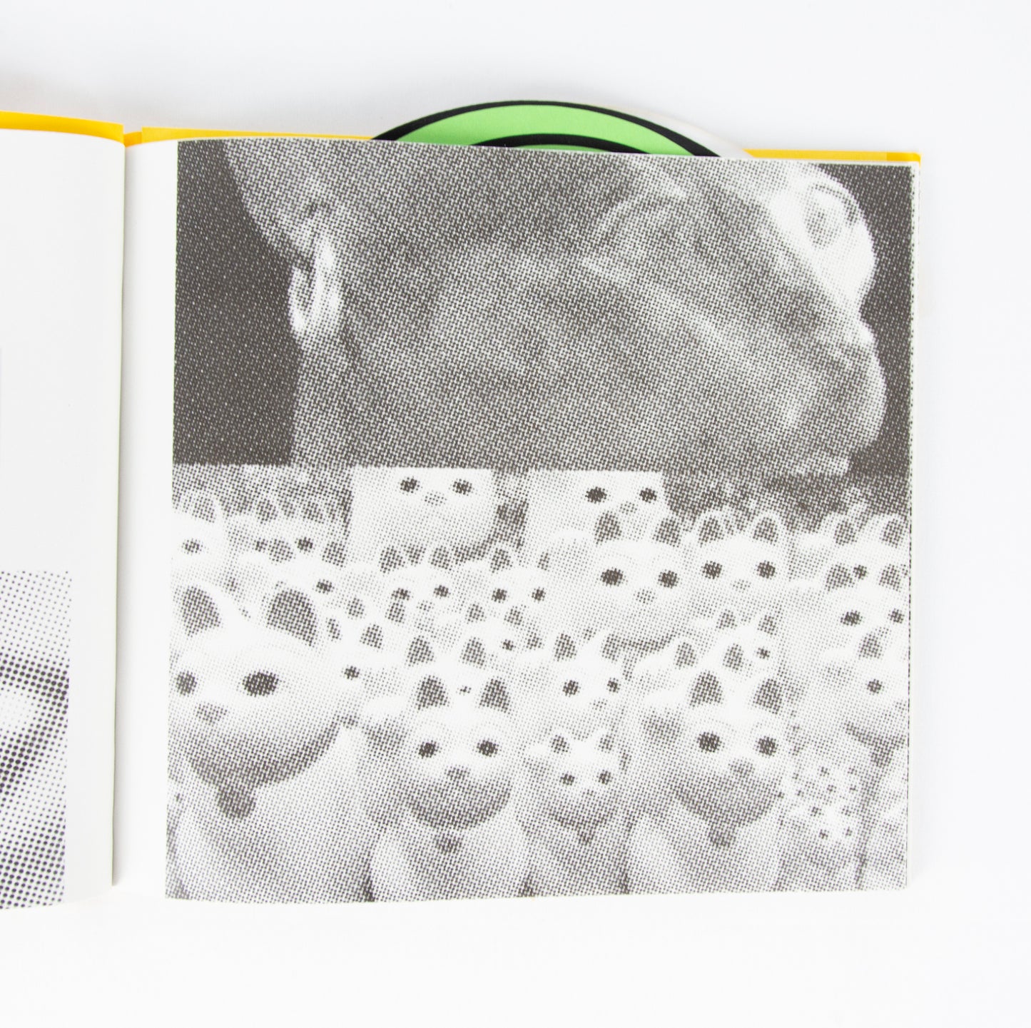 (ARTIST'S BOOK). MANIÈRE, Richard; and Anne MARS. Mon Chat.