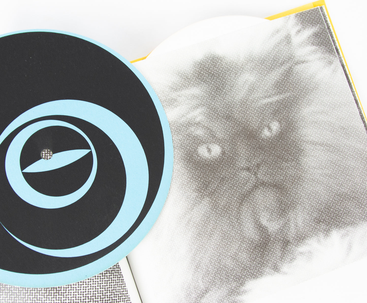 (ARTIST'S BOOK). MANIÈRE, Richard; and Anne MARS. Mon Chat.