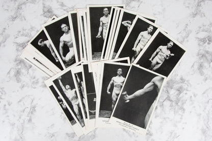 (BODY BUILDING). (ARCHIVE). STRONGFORT, Lionel. An archive of material related to the Lionel Strongfort Institute Correspondence School.