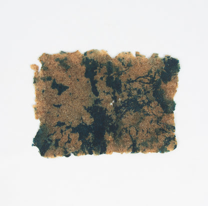 (PHOTOGRAPHY). (PAPERMAKING). Old Ways, New Views: Photographic Processes on Handmade Paper.