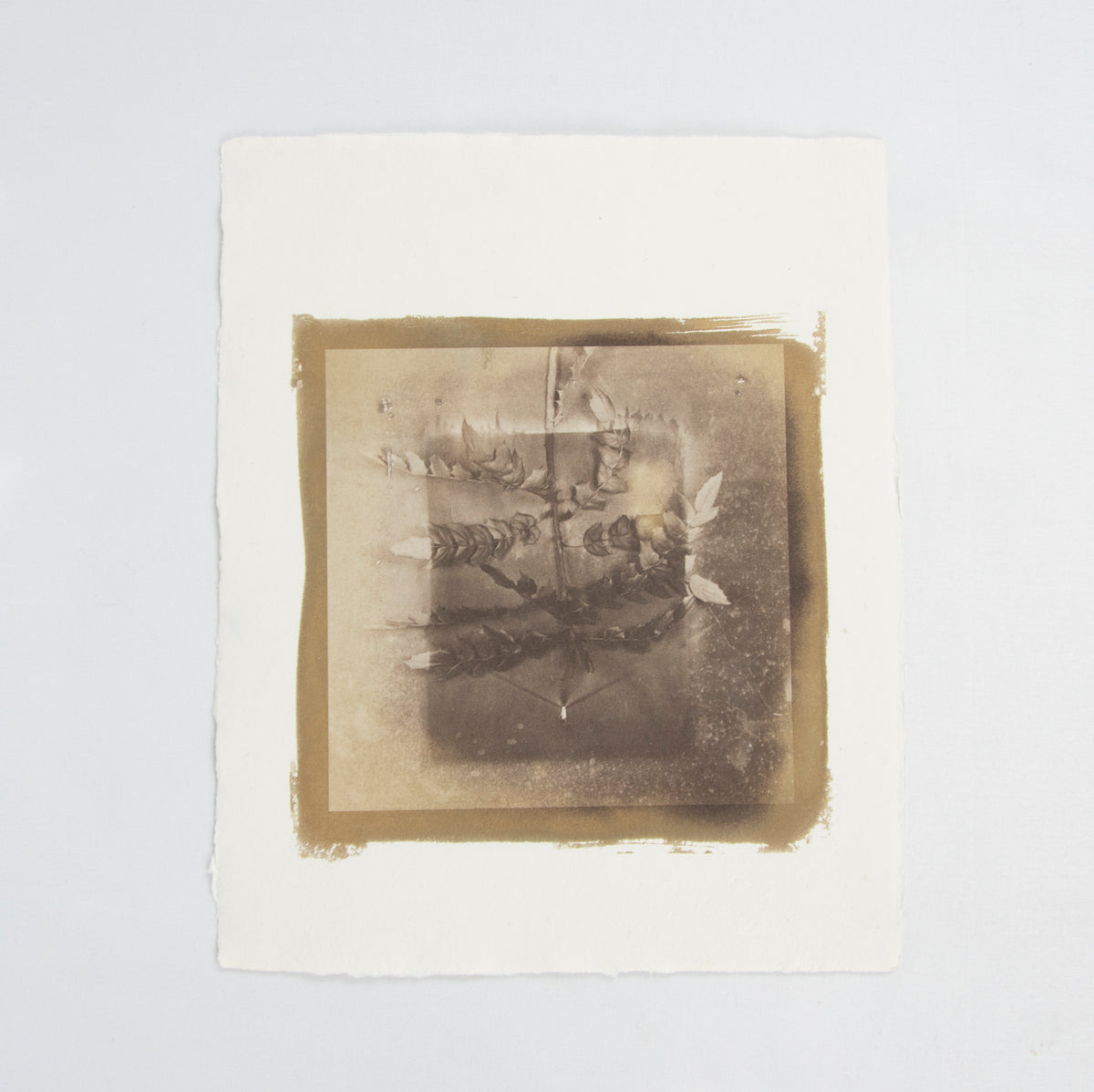 (PHOTOGRAPHY). (PAPERMAKING). Old Ways, New Views: Photographic Processes on Handmade Paper.