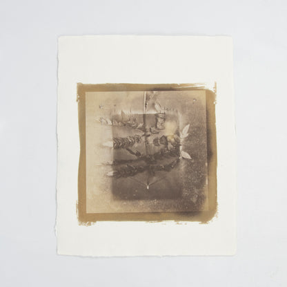 (PHOTOGRAPHY). (PAPERMAKING). Old Ways, New Views: Photographic Processes on Handmade Paper.