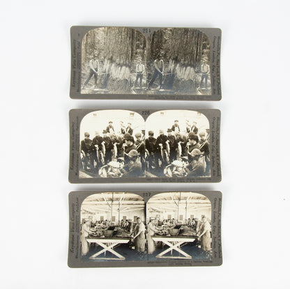 (PHOTOGRAPHY). (OREGON). [Three stereographs depicting the salmon and timber industries].