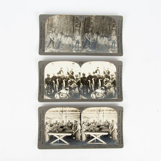 (PHOTOGRAPHY). (OREGON). [Three stereographs depicting the salmon and timber industries].