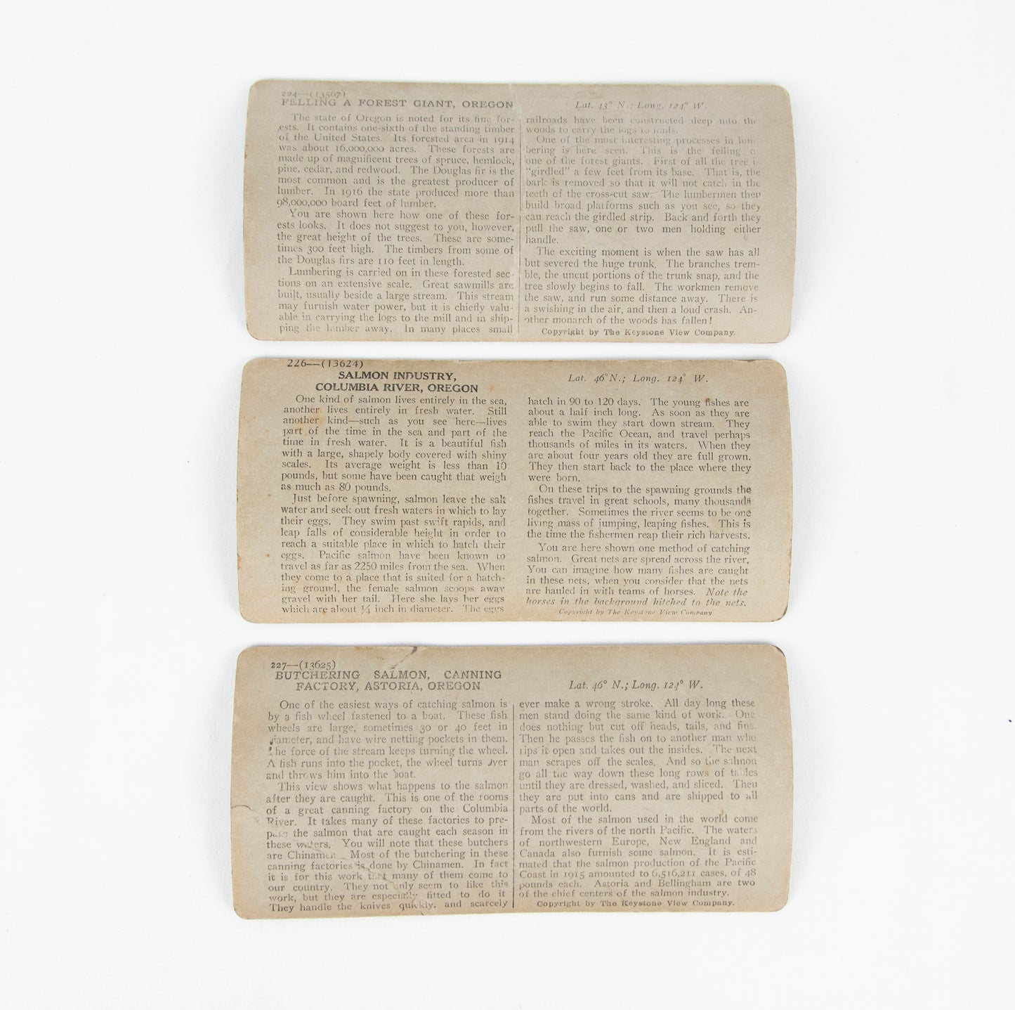 (PHOTOGRAPHY). (OREGON). [Three stereographs depicting the salmon and timber industries].