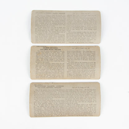 (PHOTOGRAPHY). (OREGON). [Three stereographs depicting the salmon and timber industries].