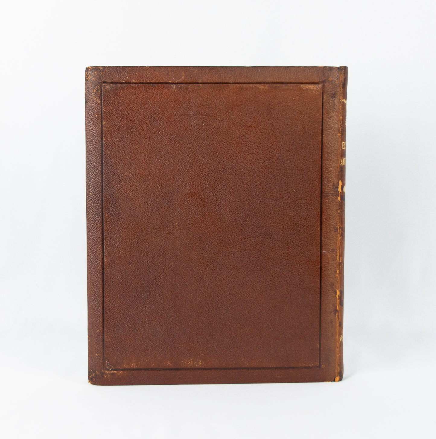 (ANTIQUITIES). (WOMEN COLLECTORS). BUDGE, E. A. Wallace. Egyptian Antiquities in the Possession of Lady Meux at Theobald's Park, Waltham Cross.